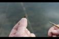 IMG 6956