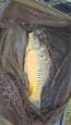 IMG-20220529-WA0005.jpg