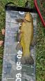 IMG-20250706-WA0005.jpg
