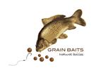 Zaterdag 1 April Opendeurdag bij Grain Baits